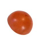 Diafragma de Silicone Tecido